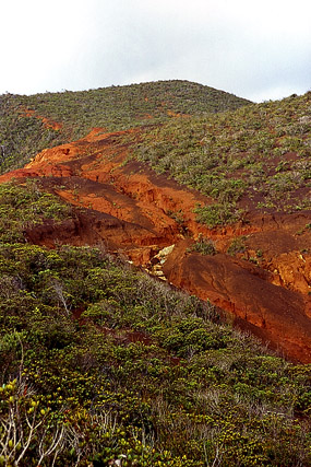 Mont Kathépaïk, ascension - Voh - Grande Terre, Province Nord - Nouvelle-Calédonie - France - Carnets de route - Photographie - 00b