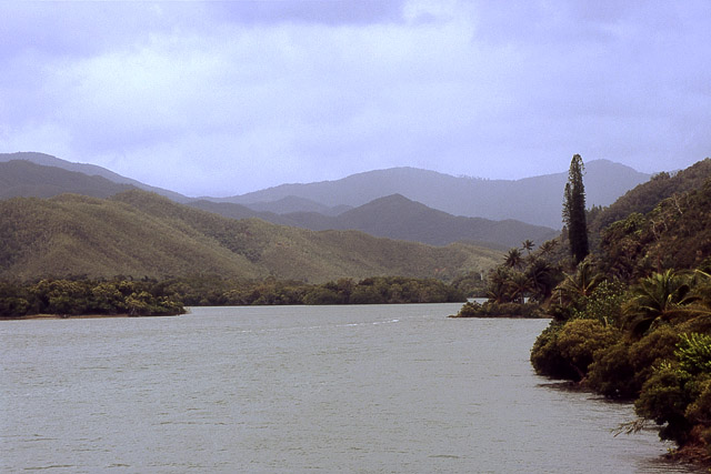 Rivière de la Tchamba - Poindimié - Grande Terre, Province Nord - Nouvelle-Calédonie - France - Carnets de route - Photographie - 04