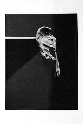 Szapocznikow, Alina - Photosculpture (1971) - Documenta - Cassel / Kassel - Hesse / Hessen - Allemagne / Deutschland - Événements - Photographie - 01b