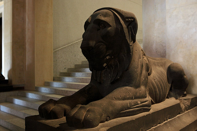 Lion / Löwe, Neues Museum / Nouveau Musée, APRÈS rénovation / NACH der Renovierung - Berlin - Brandebourg / Brandenburg - Allemagne / Deutschland - Sites - Photographie - 16