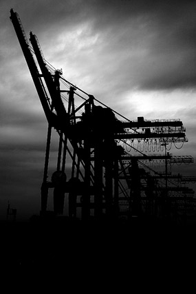 Hamburger Hafen / Port de Hambourg - Hambourg / Hamburg - Hambourg, Brême, Basse-Saxe / Hamburg, Bremen, Niedersachsen - Allemagne / Deutschland - Sites - Photographie - 04b