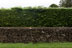 Dry stone walls / Murets de pierres sèches, Bibury - 15